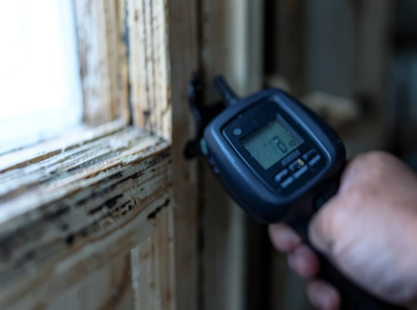 Moisture Inspection And Documentation in Erie, CO